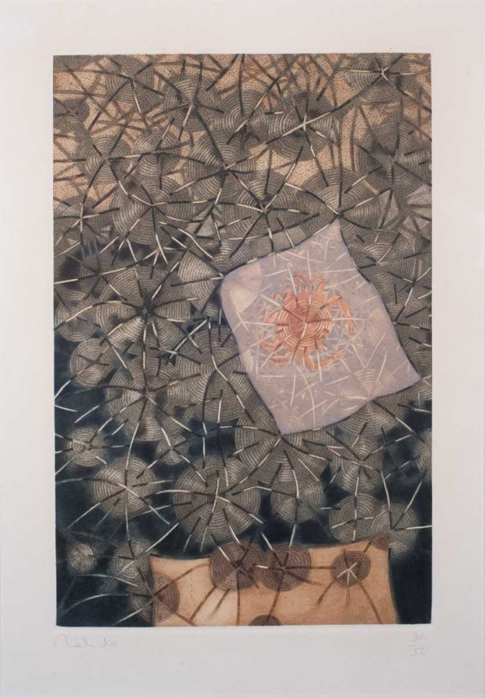 Francisco Toledo - El cangrejo, grabado, aguatinta, 29.5 x 19.5 cm, 1975